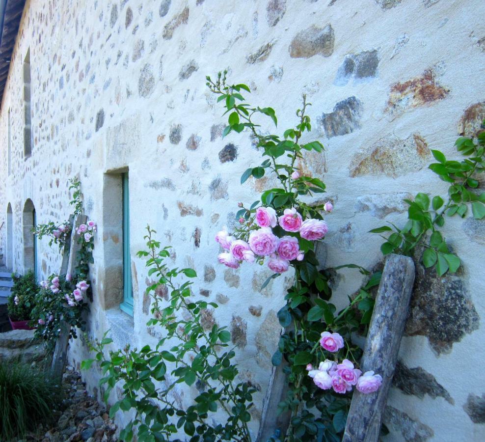 Les 5 Petits Lapins Bed and Breakfast Bar Εξωτερικό φωτογραφία